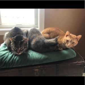 Meet your Posher, Tim